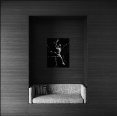 L-E-T-E-N-N-I-S-M-A-N-1-2